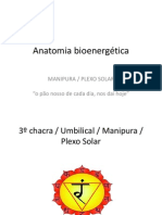 Anatomia Bioenergetica