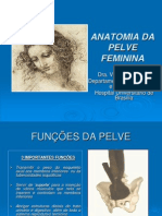 Anatomia Da Pelve Feminina