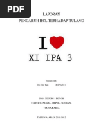 Download Laporan Hcl Pd Tulang by Hari Suprihatin SN106638669 doc pdf