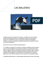 Las Ballenas