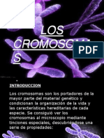 CMC Cromosoma
