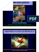 Download  ABDOMEN AGUDO QUIRRGICO ALGUNAS REFLEXIONES QUE NOS AYUDEN A PENSAR Prof Dr Luis del Rio Diez  by LUIS DEL RIO DIEZ SN106669612 doc pdf