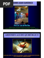 Download  ABDOMEN AGUDO QUIRRGICO ALGUNAS REFLEXIONES QUE NOS AYUDEN A PENSAR Prof Dr Luis del Rio Diez  by LUIS DEL RIO DIEZ SN106669612 doc pdf