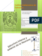 NEUROTRANSMISORES-NEUROANATOMÍA