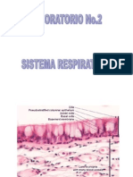 Lab. No. 2 Sistema Respiratorio