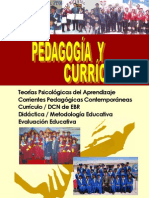 PEDAGOGÍA Y CURRÍCULO (2010). ROQUE VARGAS, Willean