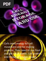 Cell Energy Storage and Use