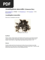 Download Macam-macam Spesies Filum Rhodophyta by Ara Az-Zahra SN106712623 doc pdf