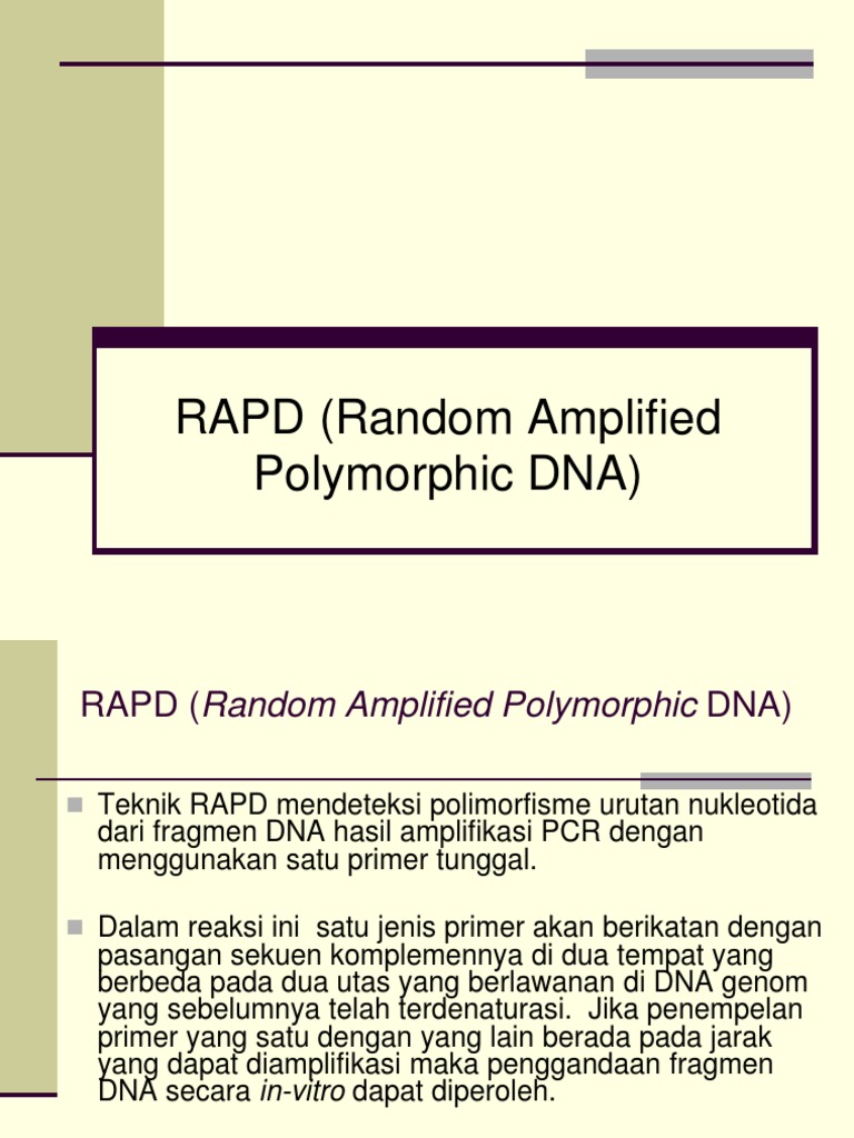 Presentation RAPD | PDF | Reaksi Berantai Polimerase | Primer (Biologi ...
