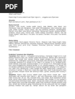 Download Piperis Nigri Fructus Antifertility  by Aghnat Firasyan SN106727820 doc pdf