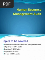 Human Resource Management Audit