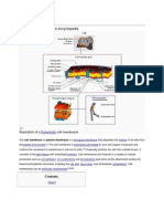 Cell Membrane: From Wikipedia, The Free Encyclopedia