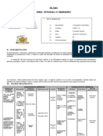 Seminario Área Opcional II