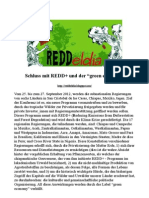 Übersetzung_REDD_Declaration_final_version