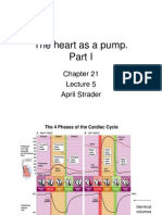 Lecture 5 - The Heart As A Pump