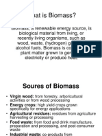 What Is Biomass