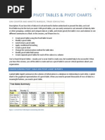 Excel 2007 Pivot Tables and Charts