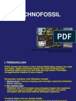 ICHNOFOSIL