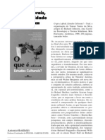 Resenha - o Que É Afinal Estudos Culturais