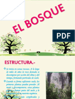 El Bosque