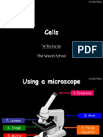 7A Cells