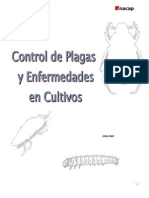 Plagas y Enfermedades en Cultivos - Cuaderno Practico 2012