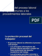 Principios Del Proceso Laboral y Reglas Comunes A Los Procedimientos Laborales