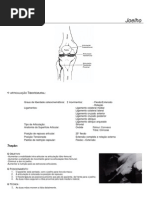 APOSTILA - Cinesioterapia - Mobilização Articular Joelho e Perna