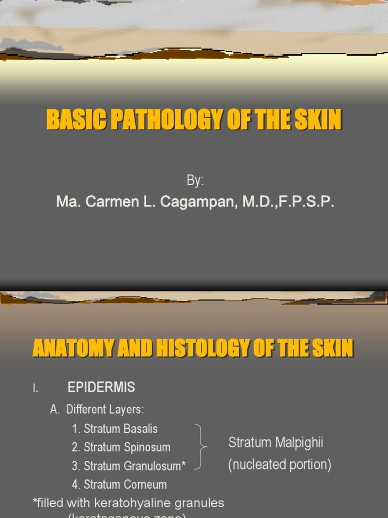 Skin Pathology: Anatomy & Terms Explained | PDF | Cutaneous Conditions ...