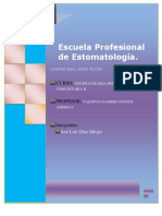 Informe de Preventiva Final