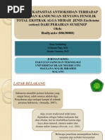 Download PPT RUDIYANTO by Suci Hati Ilmiah SN106890074 doc pdf