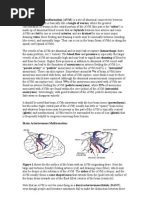 Download An Arteriovenous Malformation by Jessica Jhonson SN106897709 doc pdf