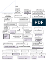 Pathway Hydrocephalus