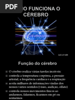 Trabalho de Ciencias