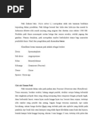 Download Padi Barley Dan Kinoa by Hartya Trisnanti SN106918936 doc pdf