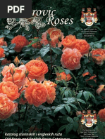 Katalog Ruza 2010 Web