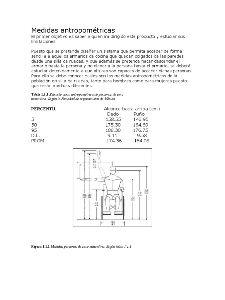 Medidas antropométricas