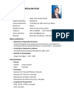 Curriculum Vitae Ingeniero Sistemas