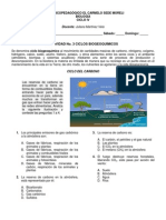 Taller Ciclos Biogeoquimicos