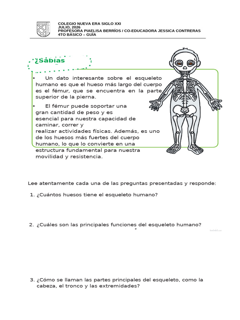 Guia Esqueleto | PDF | Esqueleto | Hueso