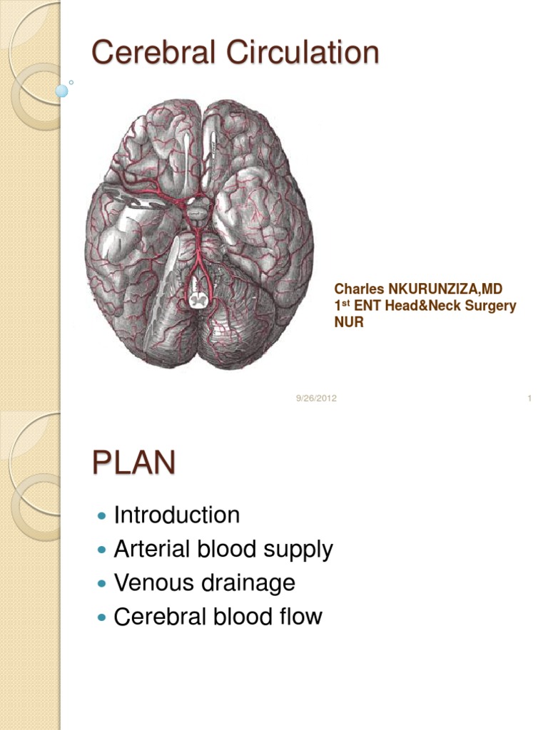 Overview of Cerebral Circulation | PDF | Capillary | Vasodilation