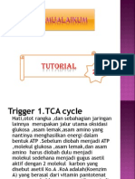 TCA Cycle