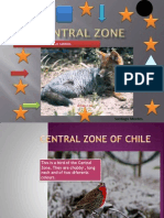 This Fox Is of Chile and Eat Rabbits.: Santiago Montes