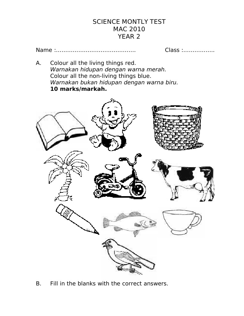 Science Montly Test MAC 2010 Year 2 | PDF