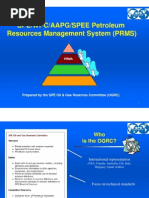 PRMS Application Guidelines 2022 | PDF | Oil Reserves | Industries