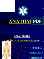 Anatomia (1)