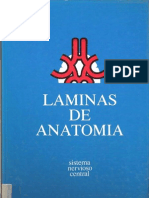 Láminas de Anatomía del SNC