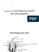 Obtención de Capsaicina a partir del Chile jalapeño