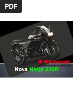 Kawasaki Ninja 250R