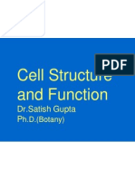 Cell Structure and Function: DR - Satish Gupta P